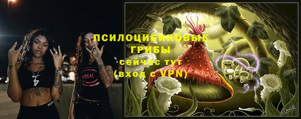 гидра Балахна