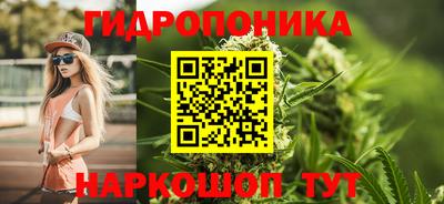 гашик Гай