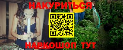 гашик Гай