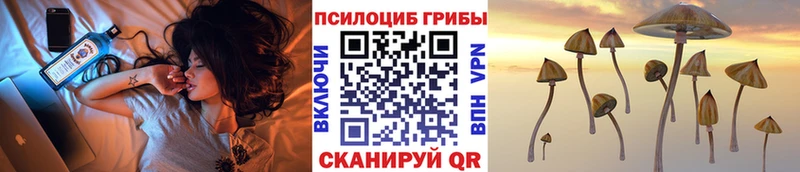 Галлюциногенные грибы ЛСД omg ссылка Калуга где продают
