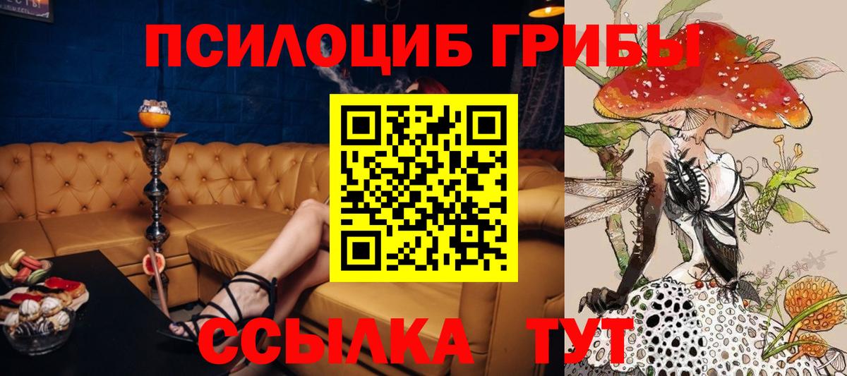 Галлюциногенные грибы Psilocybe  Вход с VPN  Калуга 