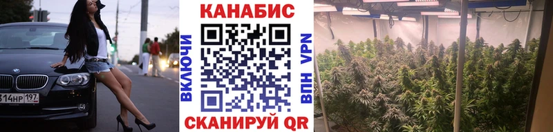 Каннабис Bruce Banner  Калуга 